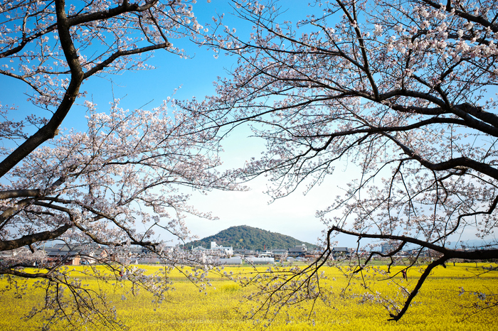 R0000918,18 mm,F8,1-80 秒,iso100.jpg