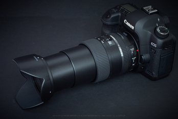 カメラ レンズ(ズーム) タムロン 28-300mm F/3.5-6.3 Di VC PZD A010 ／ 奈良桜 2019 吉野山の 