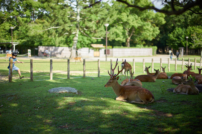 7II03929,50 mm,F1.2,iso100.jpg