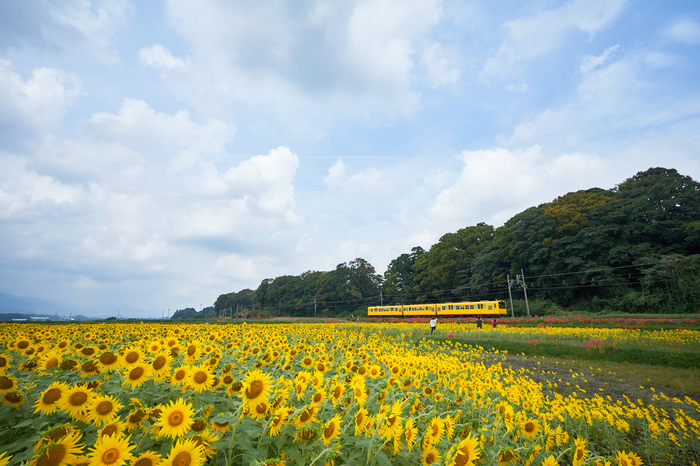 7II08752,17 mm,F10,iso400.jpg