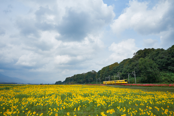 7II08786,24 mm,F9,iso400.jpg