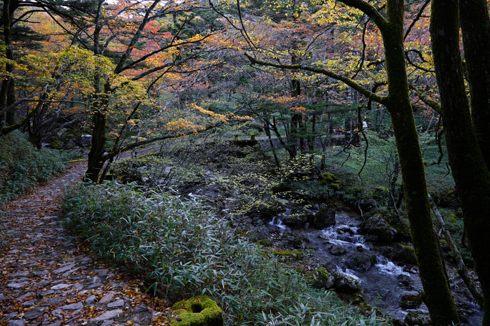 SDIM0803,24 mm,F5.6,iso800.jpg