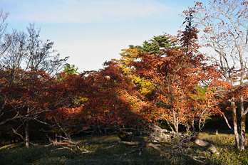 SDIM0821風景,33 mm,F8,iso100.jpg