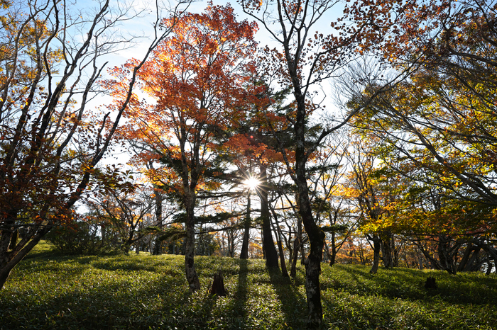 SDIM0844,24 mm,F11,iso100.jpg