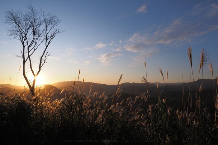 PB020123,12 mm,F18,iso200.jpg