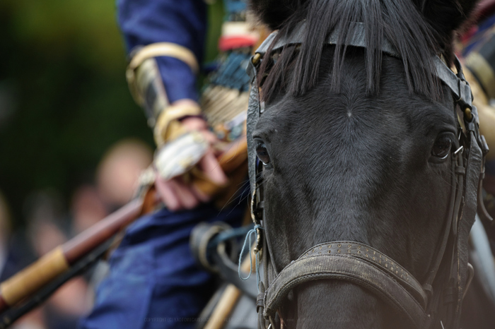 SDIM1903,400 mm,F6.3,iso800.jpg