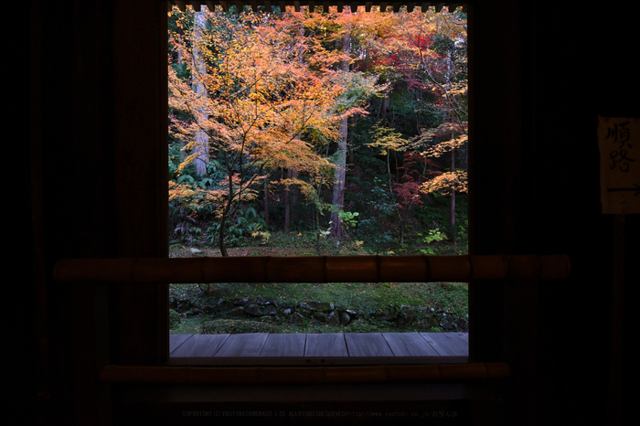DSC_0733_NDX,16 mm,F10,iso560.jpg