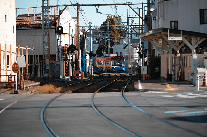 SDIM0760ティ,135 mm,F1.8,iso100.jpg