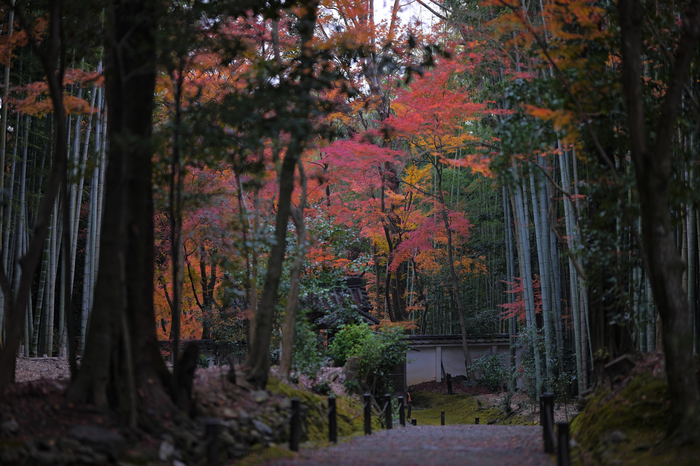 SDIM1807,105 mm,F1.4,iso125.jpg