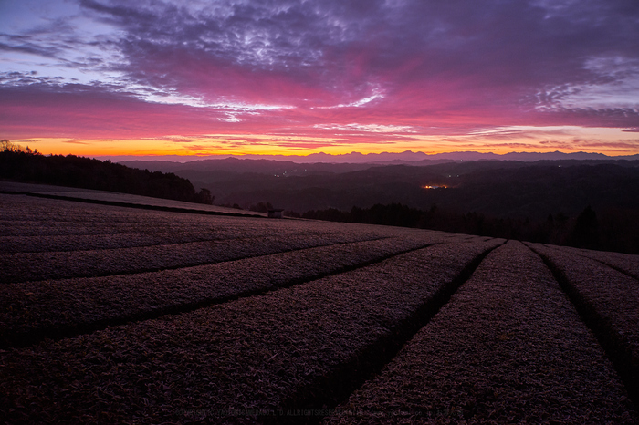 7II09899,20 mm,F8,5 秒,iso800.jpg