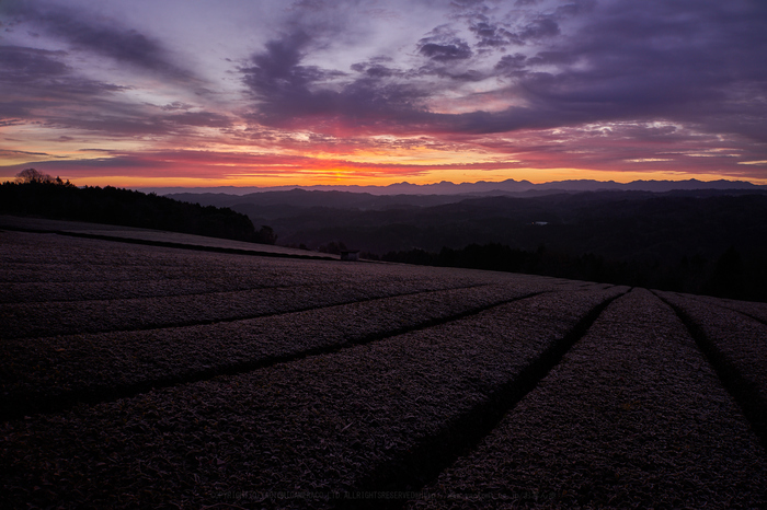 7II09937,20 mm,F10,0.1 秒,iso100.jpg