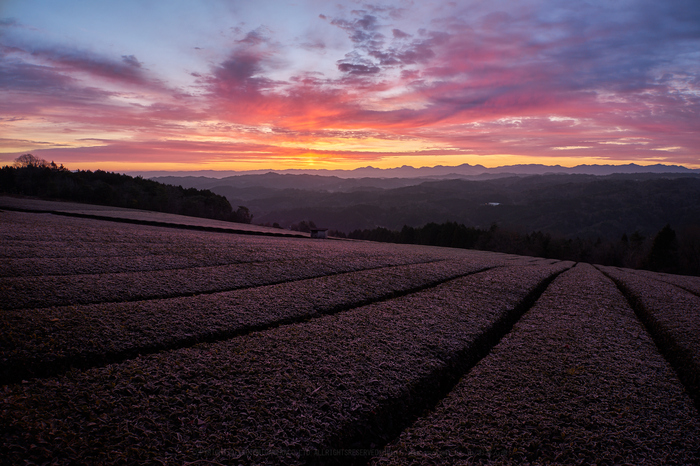 7II09954,20 mm,F10,1-6 秒,iso100 1.jpg