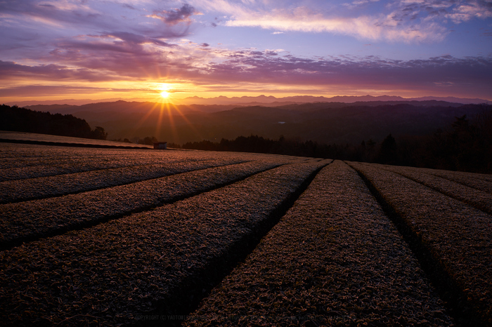 7II09998,20 mm,F16,1-30 秒,iso100.jpg