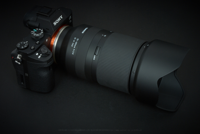 タムロン TAMRON 70-180mm F/2.8 Di III VXD Model A056 を使ってみ 