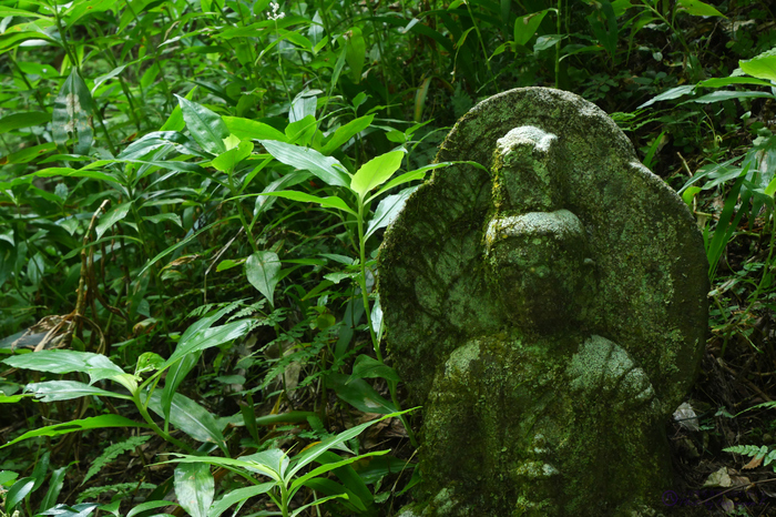 デジタルカメラ Canon EOS R8 RF 24-50mm F4.5-6.3 STM KIT パナソニック Panasonic LUMIX DC-G100 @ review ／ 奈良 明日香 岡寺