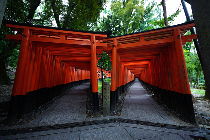 SIGMA fp011,14 mm,F2.8,iso100,yaotomi.jpg