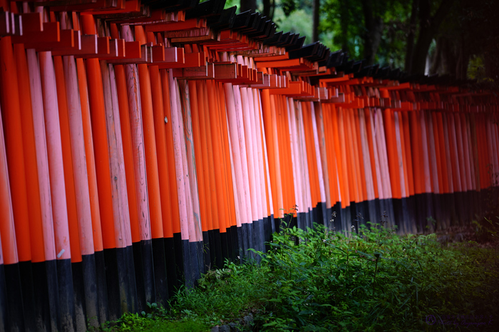 SIGMA fp012,85 mm,F1.4,iso100,yaotomi.jpg