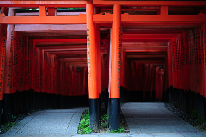 SIGMA fp017,85 mm,F1.4,iso100,yaotomi.jpg