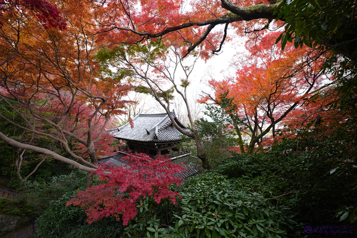 SDIM5114,SIGMA fp,14 mm_2020yaotomi.jpg