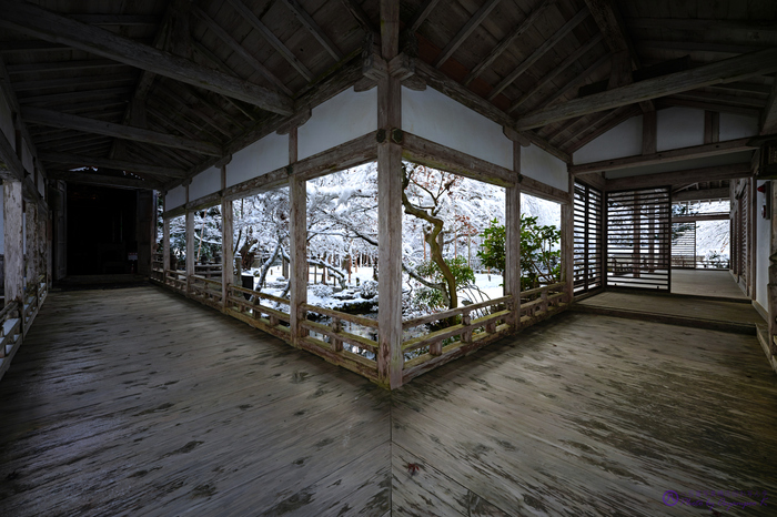 SDIM5391,14 mm_2020yaotomi.jpg