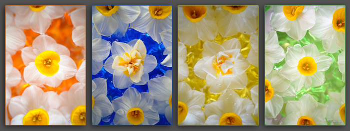お写ん歩: SIGMA 45mm F2.8 DG DN | Contemporaryアーカイブ お写ん歩: SIGMA 45mm F2.8 DG DN | Contemporaryアーカイブ