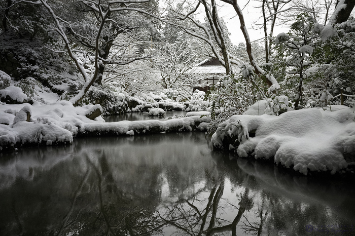 SDIM1233,24 mm,F10,iso800.jpg