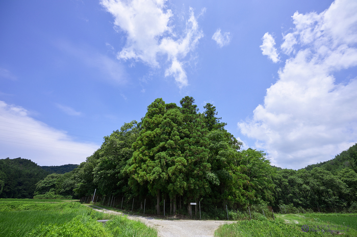 SDIM3505,14 mm,F8,iso100 1.jpg