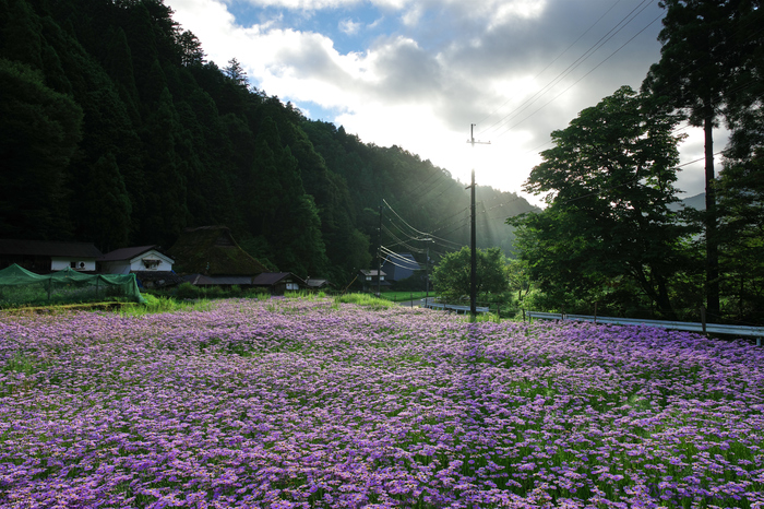 IMGP5962,16 mm,F9,iso100.jpg