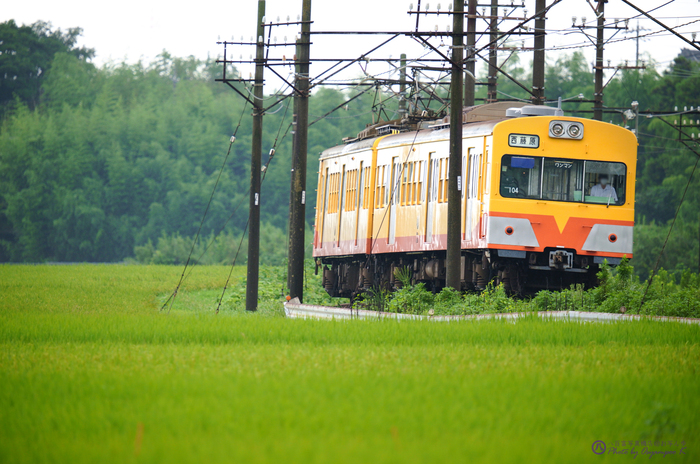 シグマ SIGMA 150-600mm F5-6.3 DG DN OS | Sports @ review vol