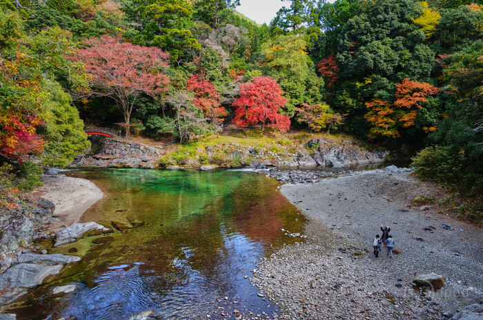 SDIM8116,18 mm,F8,iso100(JPEG) (2).jpg