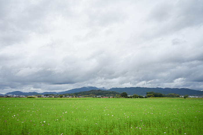 7II00220,20 mm,F11,iso160(cRAW).jpg