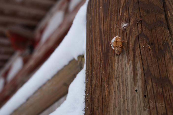 PANA1958,60 mm,F5.6,iso2000(JPEG).jpg