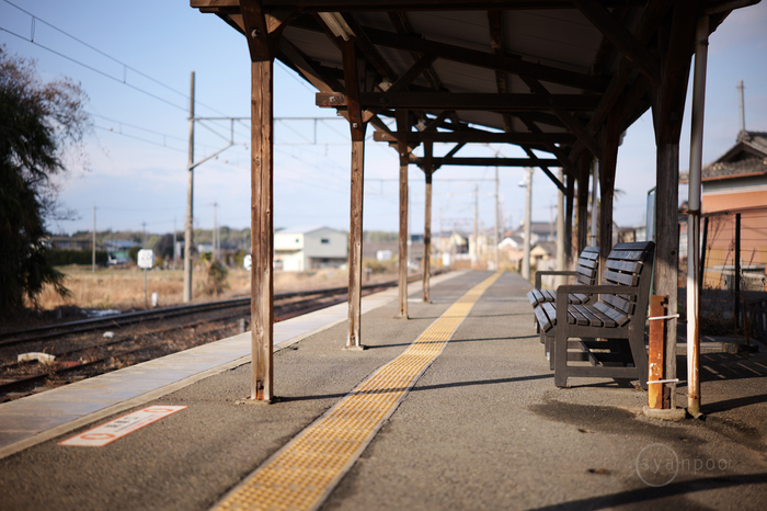 PANA5204,50 mm,F1.4,iso100_1-3200 秒(JPEG).jpg