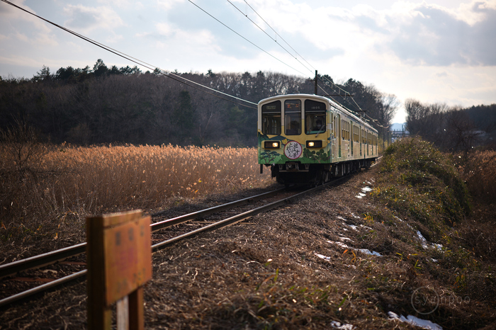 PANA5404,50 mm,F1.4,iso100_1-8000 秒(JPEG).jpg