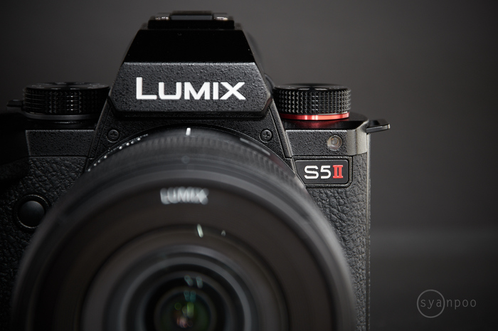 Panasonic LUMIX S5II 012.jpg