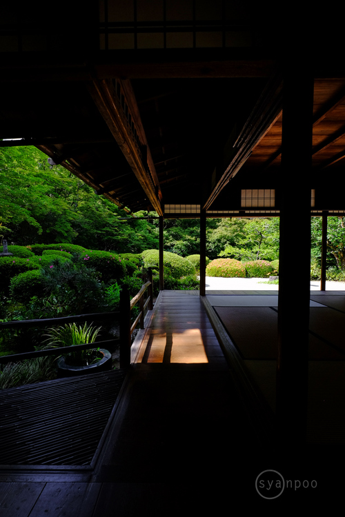 DSCF7509,11 mm,F8,iso400(JPEG).jpg