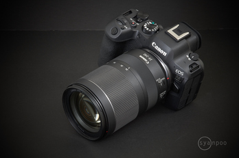 Canon EOS R6 Mark II_003.jpg