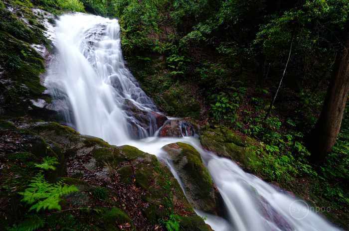 SDIM2945,14 mm,F8,iso10(JPEG).jpg