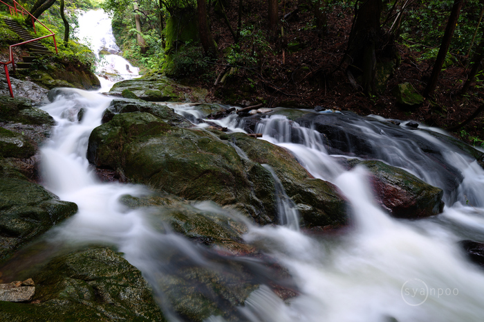 SDIM2999,14 mm,F9,iso32(JPEG).jpg