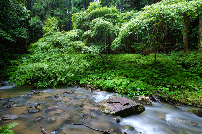 SDIM3005,14 mm,F9,iso6(JPEG).jpg