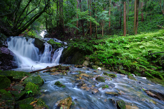 SDIM3015,14 mm,F7.1,iso100(JPEG).jpg