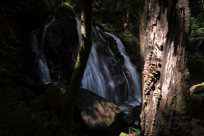 IMG_2745,20 mm,F14,iso100(JPEG).jpg