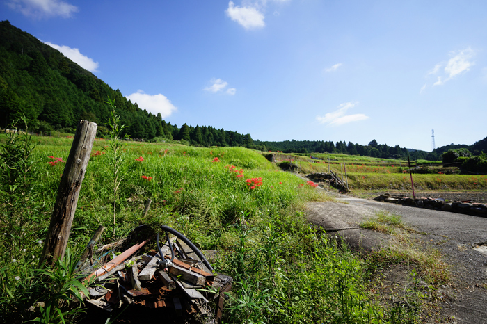 7II08298,17 mm,F2.8,iso100(JPEG).jpg