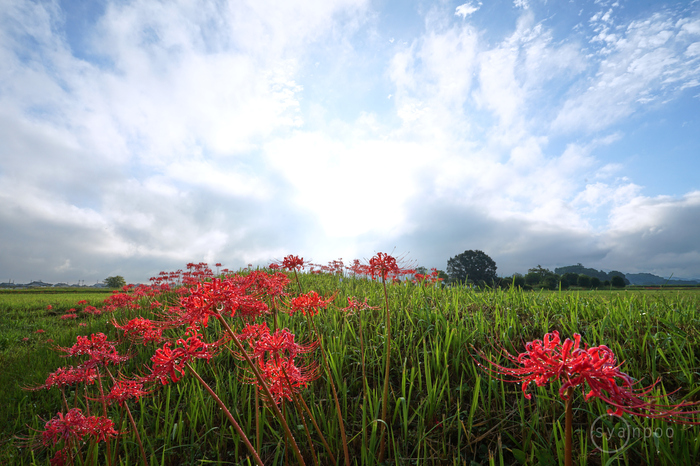 7II08608,17 mm,F18,iso100(JPEG).jpg