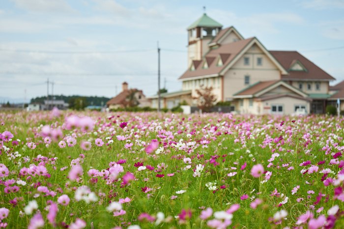 7II08986,76 mm,F2.8,iso100(cRAW).jpg