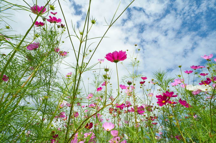 7II09048,17 mm,F22,iso320(cRAW).jpg