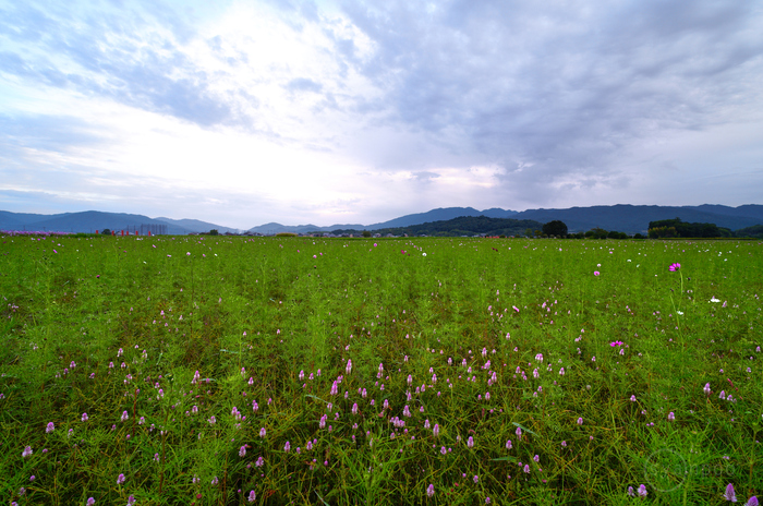 SDIM0153,10 mm,F5,iso100(JPEG).jpg