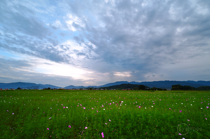 SDIM0161,10 mm,F7.1,iso100(JPEG).jpg