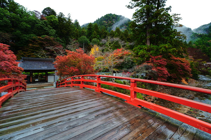 SDIM3824Z8,10 mm,F7.1,iso100(JPEG).jpg