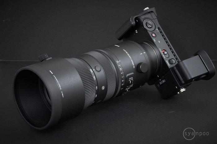 SIGMA 70-200mm F2.8 DG DN OS  Sports_004.jpg